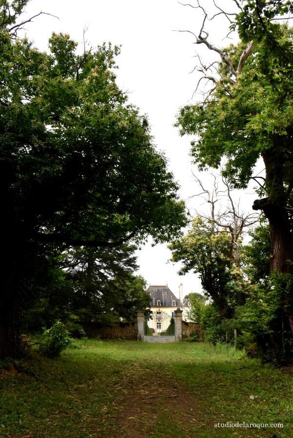 Domaine De La Briouse Bed and Breakfast Sanxay Exterior foto