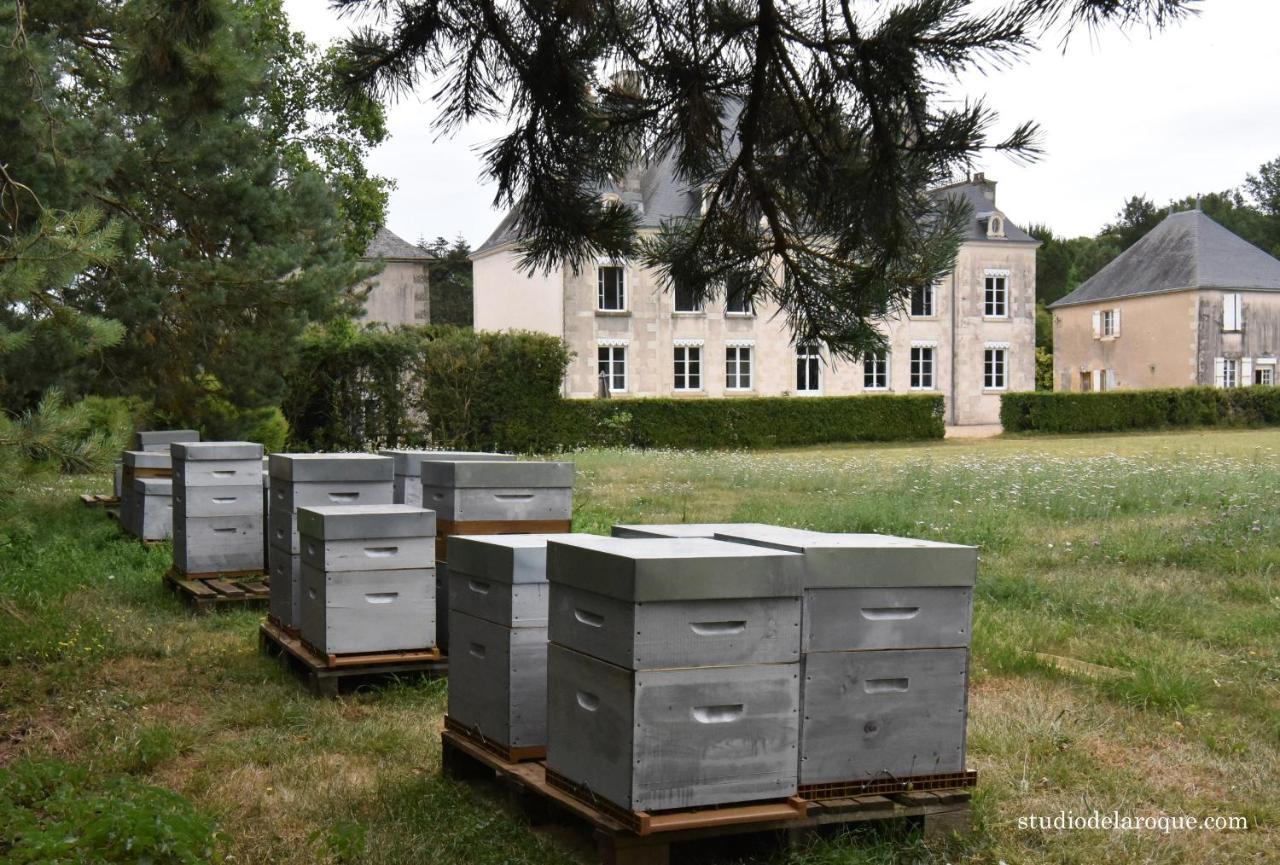 Domaine De La Briouse Bed and Breakfast Sanxay Exterior foto