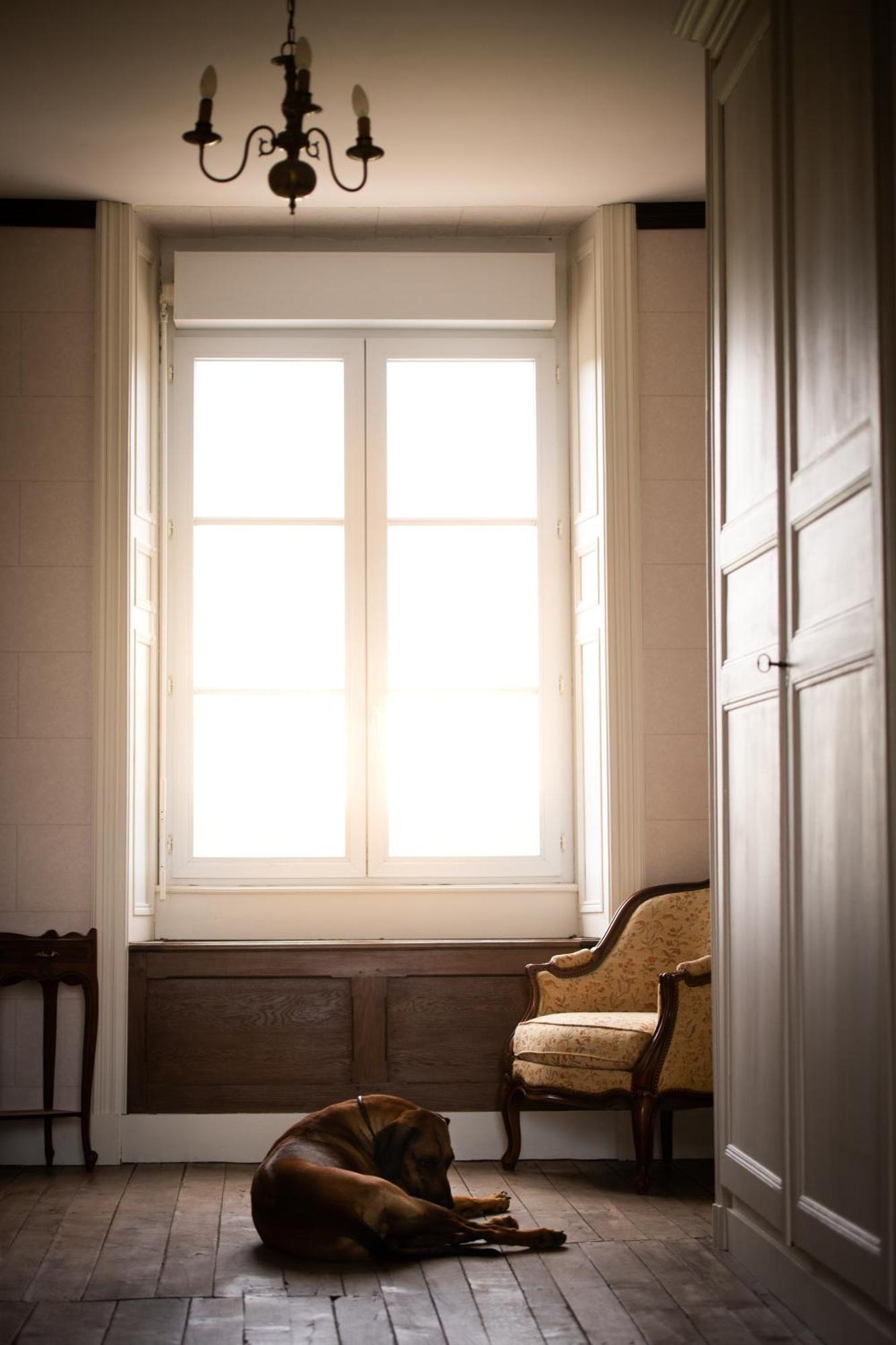 Domaine De La Briouse Bed and Breakfast Sanxay Exterior foto