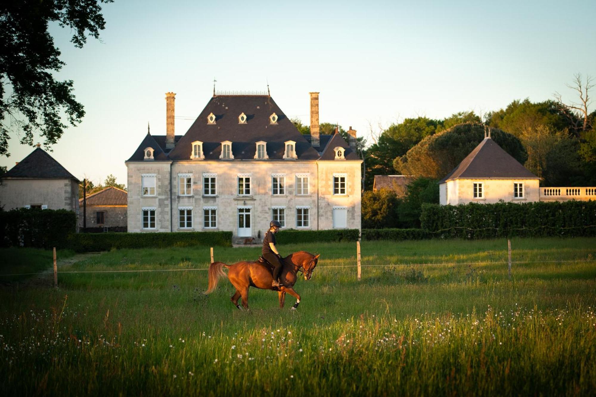 Domaine De La Briouse Bed and Breakfast Sanxay Exterior foto