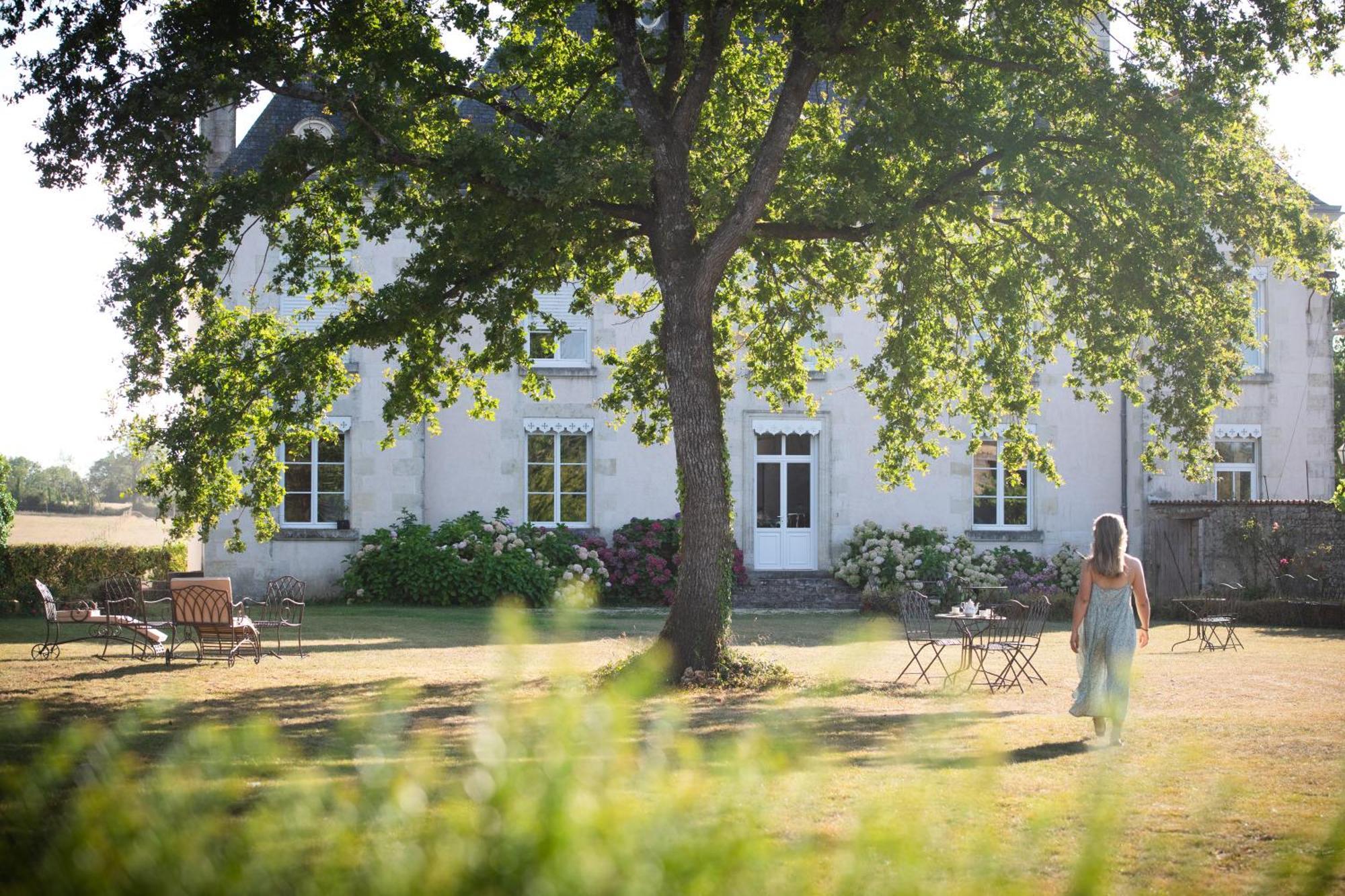 Domaine De La Briouse Bed and Breakfast Sanxay Exterior foto